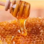 Hoa Kỳ Dẫn Đầu Điều Tra Phòng Vệ Thương Mại: Thách Thức và Cơ Hội Cho Hàng Hóa Việt Nam