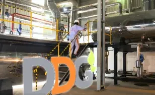 Công ty Gỗ Đức Thành (DDG) Tiếp Tục Báo Lỗ Quý 1/2026: Nguy Cơ Hủy Niêm Yết Sau Chuỗi Thua Lỗ Kéo Dài 📉